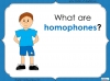 Homophones and Near-Homophones - Year 2 Teaching Resources (slide 3/24)